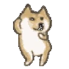 Doge animated stickers 6