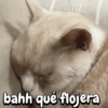 bahh qué flojera