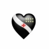 Vasco 7