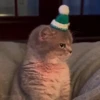Random Reaction 11