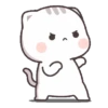Kucing Gemoy 13