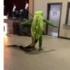 Iguana - Animales Bailando 🦎😎 7