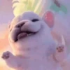 Perro Pibble TikTok✨🐾 7