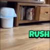 Random 25