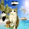 ᱙᱙   ˳   Meowl   ׅ   𐀴᷼𐀴 10
