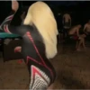 Pedroca 2