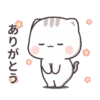 Kucing gemoyy 10