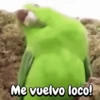 Me vuelvo loco!