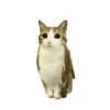 ᱙᱙   ˳   Meowl   ׅ   𐀴᷼𐀴 14