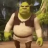 Shrek Time🟢✨ 7