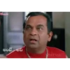 Telugu 13