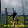 AMOSTRADINHO ☠️🪓 13