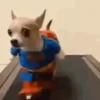 Necessárias 🤩 8