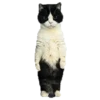 🐱🐾🐈 GATOS 🐈🐾🐱 9