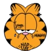 Garfield 1 14