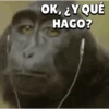 🐒•Moniiitos ⵌ5 11