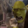 Shrek Time🟢✨ 8