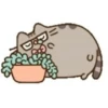Pusheen modo Navidad🎄✨ 8