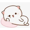 Meowwww catt 6