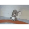 Gif 6