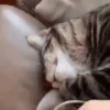 AI QUE SONO... 💤 9