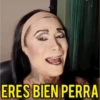 Perdidas y Las de Apelo  9
