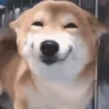 Smile mix 7
