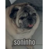 soninho