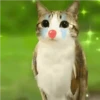 ᱙᱙   ˳   Meowl   ׅ   𐀴᷼𐀴 29