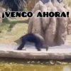 🦧Monkeys🦍Monos🐒Changos 14
