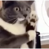 FoFuSpEtS 5