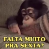 FALTA MUITO PRA SEXTA?