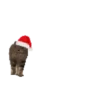 Quem é você no NATAL? 18
