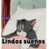 Axy Linda 2026-6 17