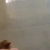 🎵 TIKTOKeando 23🎵 21