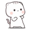 Kucing gemoyy 9