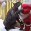 Quem é você no NATAL? 5