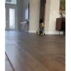 Iguana - Animales Bailando 🦎😎 12