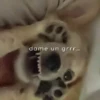 Dame un Grrr / Tiktok 😡🤬🤣 17