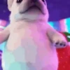 Perro Pibble TikTok✨🐾 9