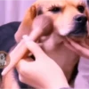 FoFuSpEtS 11