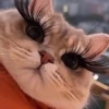 Comentários do TikTok 2 🎵😈  7