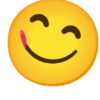 Noto Emoji Pack 01 19