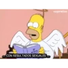 Homero animado 12