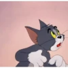 Tom e Jerry 🐈🐀 9