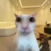 Random Reaction 9