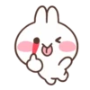 🫘•Bunny•🫘 15