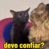 devo confiar?