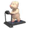 Pig babi 10
