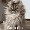 BOM DIA 🌞 8